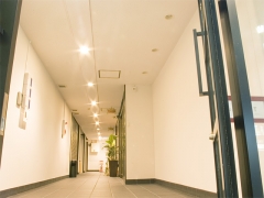 南玄関